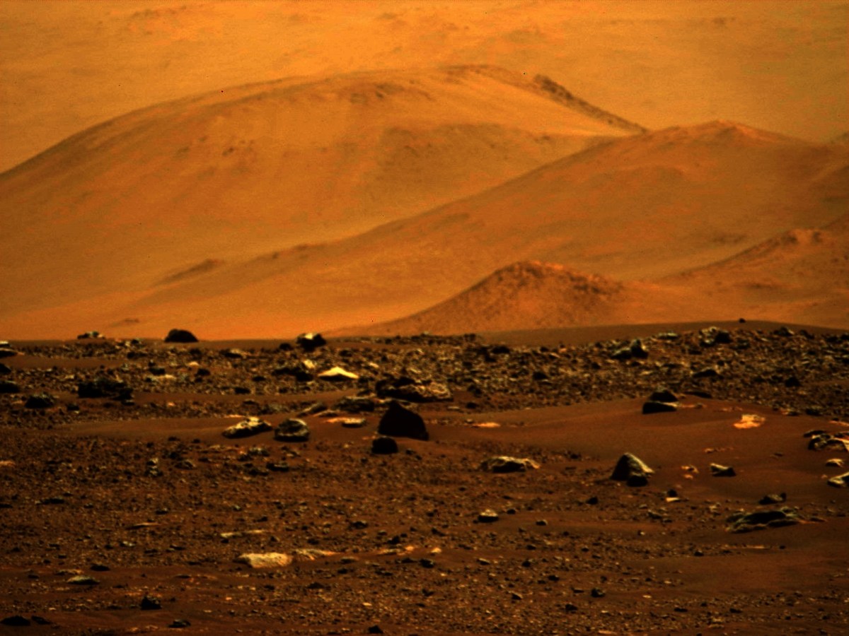 Ancient Aliens from Earth